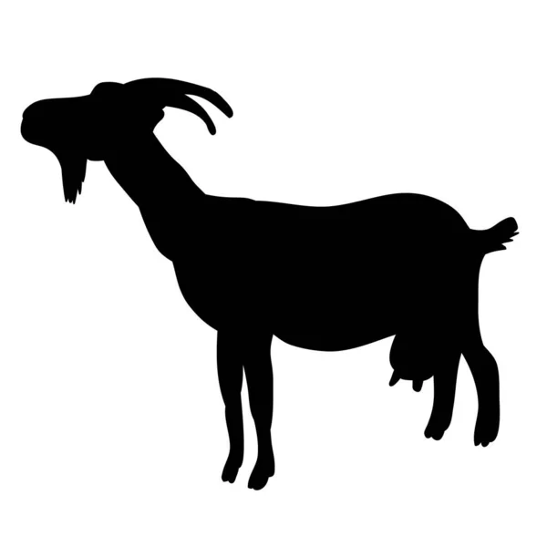 Silhouette Isolée Chèvre Avec Cornes Sur Fond Blanc — Image vectorielle