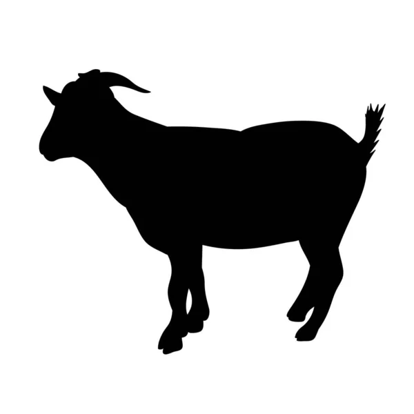 Silhouette Isolée Chèvre Avec Cornes Sur Fond Blanc — Image vectorielle