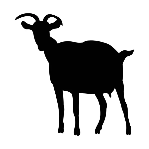 22,610,669 Zebu silhouette Vector Images Depositphotos