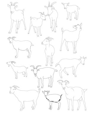 çizilmiş keçi çizgisi