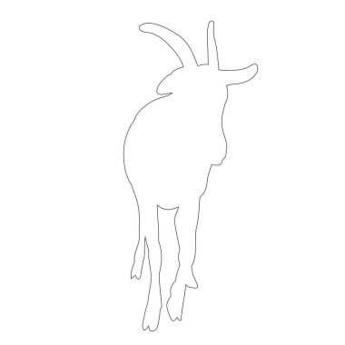 Beyaz arka planda boynuzları olan izole keçi ana hatları