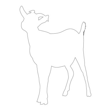 İzole bir sınır beyaz arka planda bir keçidir.