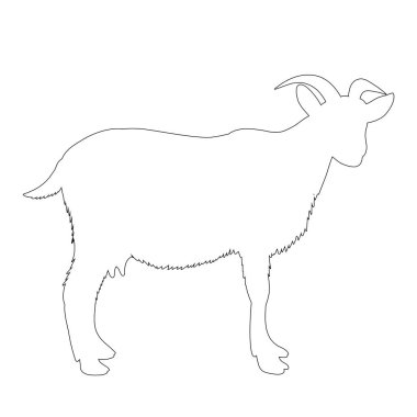 vektör, izole hat beyaz arka planda bir keçi.
