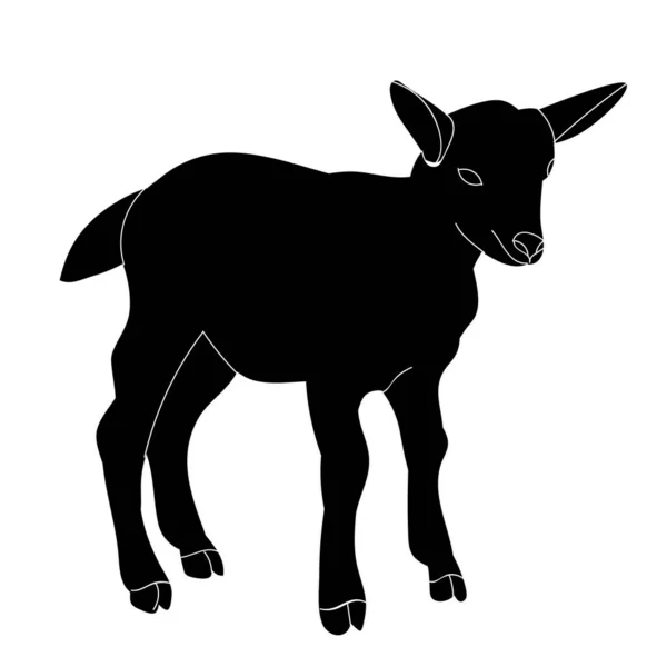Vector Isolated Silhouette Goats — Stock Vector
