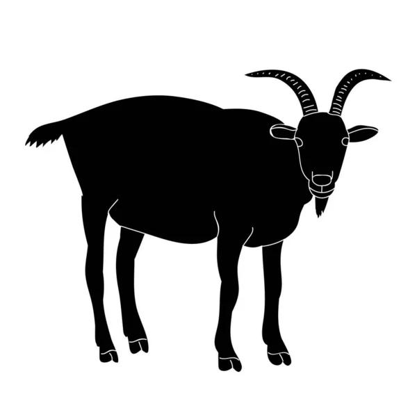 Chèvre Silhouette Isolée Avec Cornes — Image vectorielle