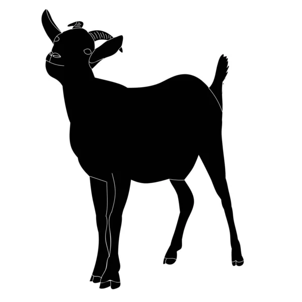 Chèvre Silhouette Noire Isolée Avec Cornes — Image vectorielle