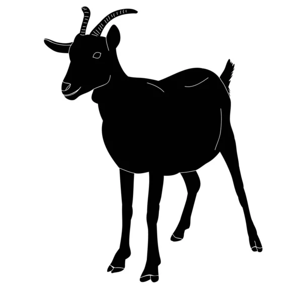 Černá Silueta Koza Rohy — Stockový vektor