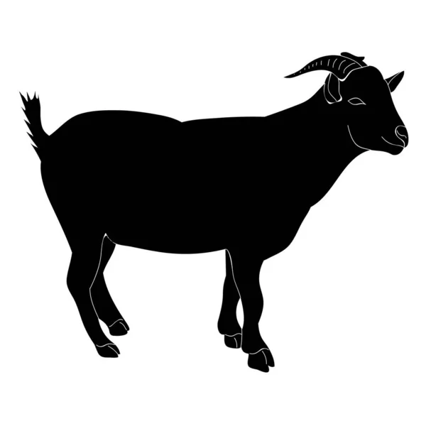 Vetor Silhueta Isolada Uma Cabra —  Vetores de Stock