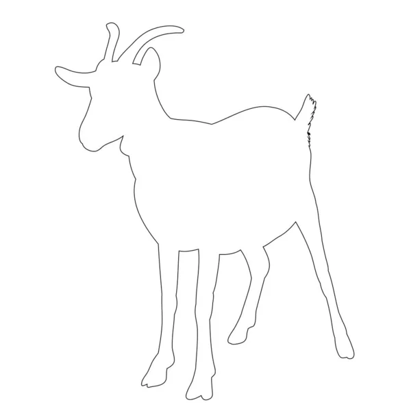 Isolated Contour Goat White Background — Stock Vector