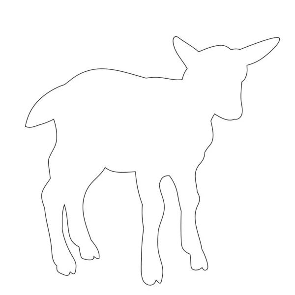 Outline Goats White Background — Stock Vector