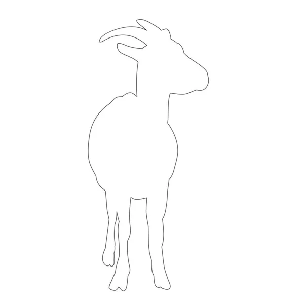 Isolierte Kontur Ist Eine Ziege Auf Weißem Hintergrund — Stockvektor
