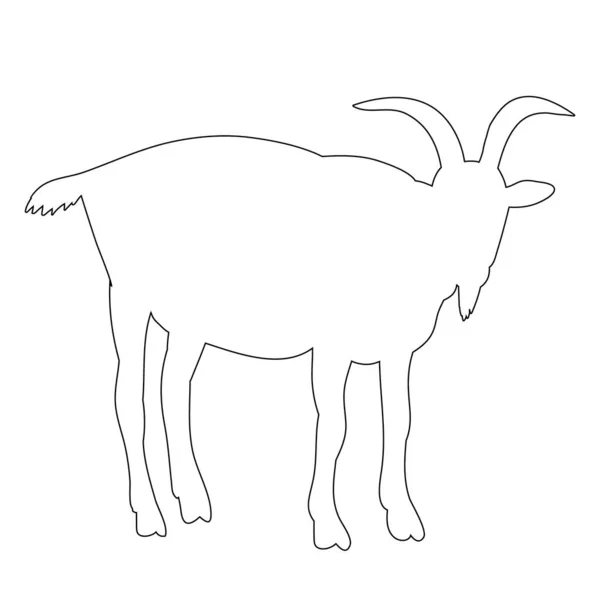 Isolated Goat Outline White Background — Stock Vector