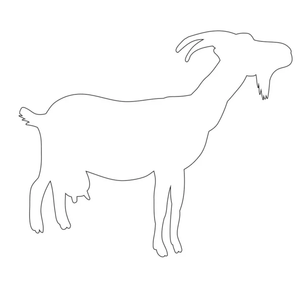 Vector Isolated Goat Outline White Background — Stock Vector