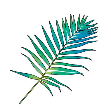 suluboya ile beyaz arkaplan yaprağında izole