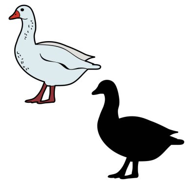 vektör, izole ördek, kaz