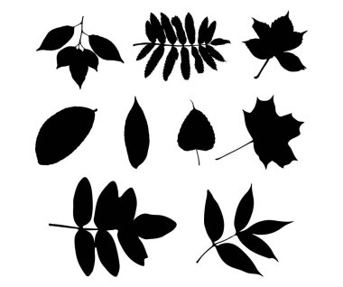 ağaç yapraklarından oluşan vektör kümesi siluetleri