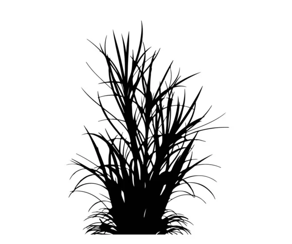 Isolated Silhouette Grass Vector — Stock Vector