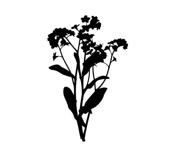 Vektor Isolierte Silhouette Einer Pflanze — Stockvektor
