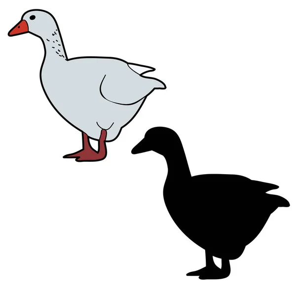 孤立鸭 — 图库矢量图片
