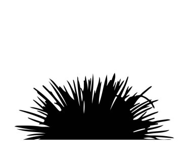  izole edilmiş çimen silueti