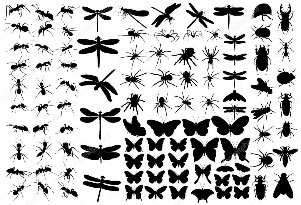 set of silhouettes of butterflies beetles ants on a white background
