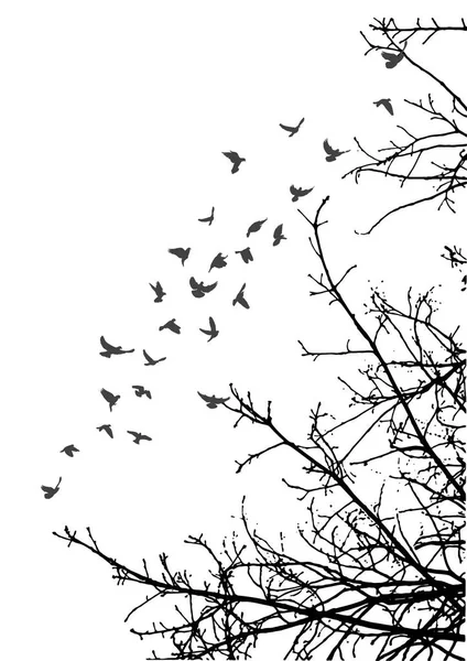 Вектор Иллюстрация Силуэт Летающих Птиц Ветвей Деревьев Свобода — стоковый вектор