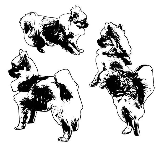Διάνυσμα Απεικόνιση Σιλουέτα Σκύλος Collectio — Διανυσματικό Αρχείο