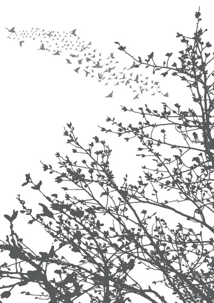 Vecteur Illustration Silhouette Oiseaux Volants Branches Arbres — Image vectorielle