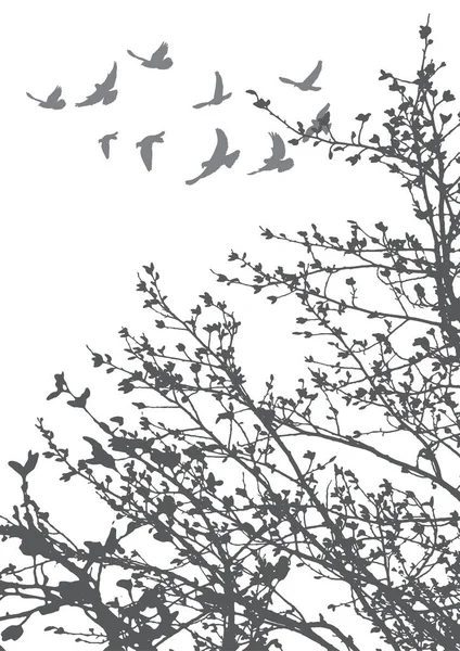 Vector Illustration Silhouette Flying Birds Tree Branches — Stock Vector