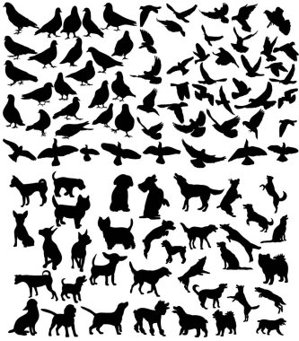 Vektör, izole edilmiş büyük hayvanlar, bir köpek ve bir kuş silueti, koleksiyon