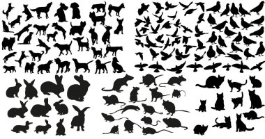 Vector, izole edilmiş fare, kedi ve tavşan silueti, köpek ve güvercin koleksiyonu