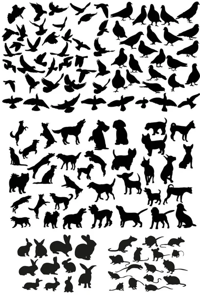 Vektör, izole edilmiş büyük evcil hayvanlar, köpek ve kuşların silueti, fare, tavşan, koleksiyon