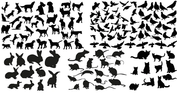 Vector Isolated Silhouette Rat Cats Rabbits Dog Doves Collection — Stock Vector