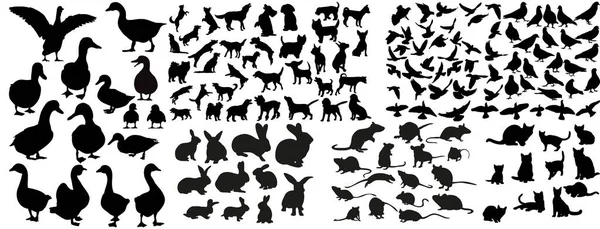 Vector Isolated Silhouette Pigeons Crows Cats Dogs Collection Silhouettes Animals — Stock Vector