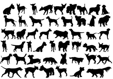 Bir köpek koleksiyonunun vektör, izole edilmiş silueti