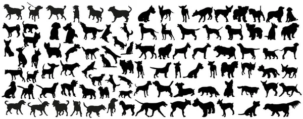 Διάνυσμα Απομονωμένη Μαύρη Σιλουέτα Σκύλου Συλλογή — Διανυσματικό Αρχείο