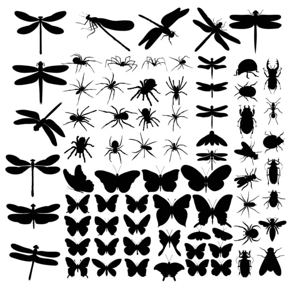 Silueta Insectos Conjunto Vector — Vector de stock