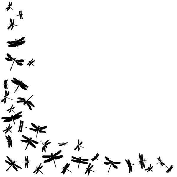 孤立的 一组蜻蜓的轮廓 — 图库矢量图片