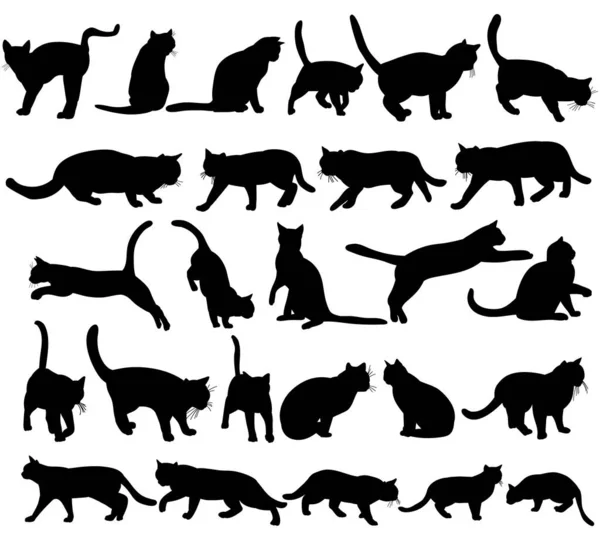 Значок Силуетний Кіт Набір Колекція — стоковий вектор
