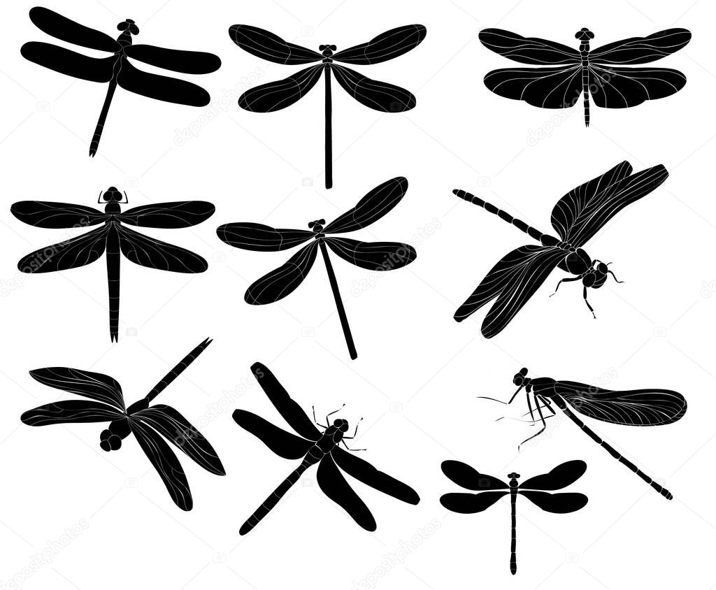 dragonfly flies, insect, set of silhouettes