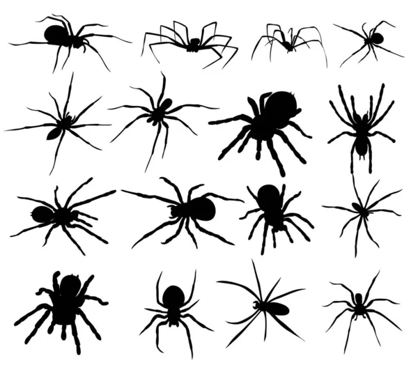 Conjunto Araña Silueta Colección — Vector de stock