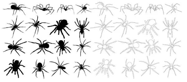 Aislado Conjunto Colección Araña Boceto Silueta Sobre Fondo Blanco — Vector de stock