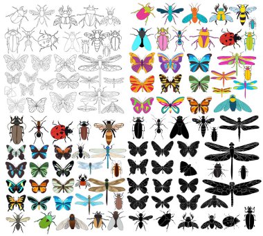 İzole, böcek, set, böcekler, arı, karınca, kelebek