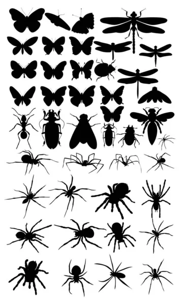 Aislado Conjunto Siluetas Insectos Arañas Mariposas Escarabajos — Vector de stock