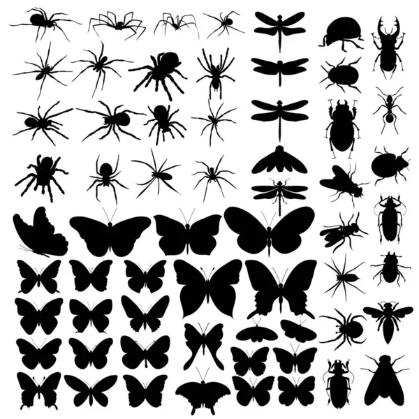 Vector Aislado Conjunto Siluetas Insectos Arañas Mariposas Escarabajos — Vector de stock