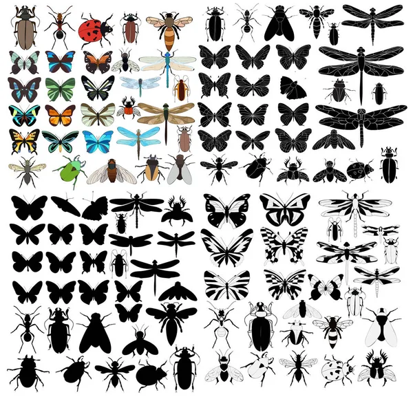 İzole, böcek, set, böcekler, arı, karınca, kelebek