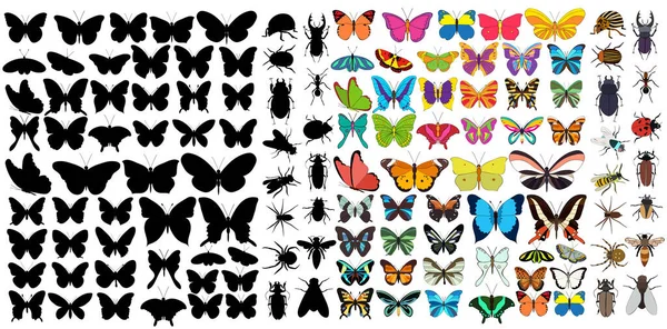 Απομονωμένα Σύνολο Εντόμων Σκαθαριών Και Πεταλούδων — Διανυσματικό Αρχείο