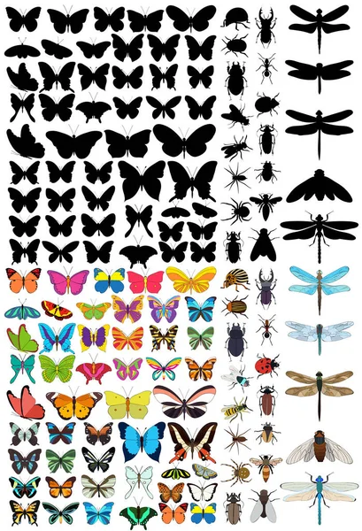 Set Insects Beetles Butterflies — Stock Vector