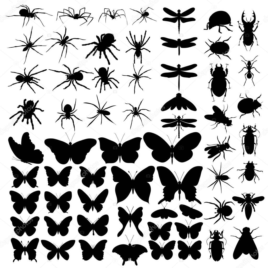 vector, isolated, set of silhouettes of insects, spiders, butterflies, beetles