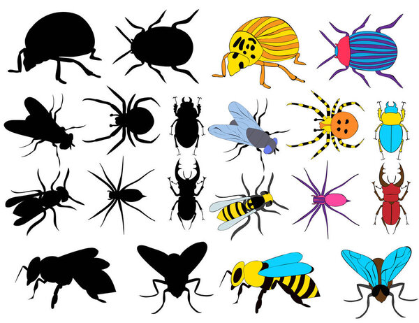  isolated, set of silhouettes of different insects